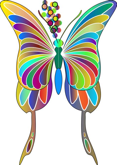 Schmetterling Tier Insekt Kostenlose Vektorgrafik Auf Pixabay