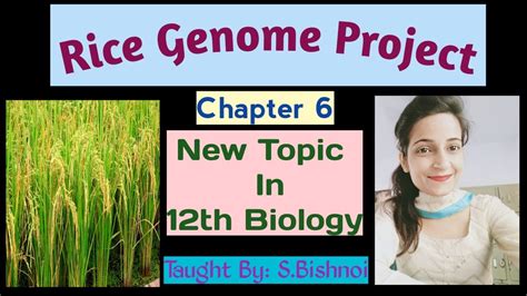 Rice Genome Project Chapter 6 Class 12th Biology New Topic