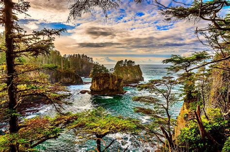 Ocean Rocks On Coast Of Washington