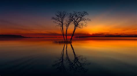 Horizon Lake Nature Reflection Sunset Tree Hd Nature 4k Wallpapers