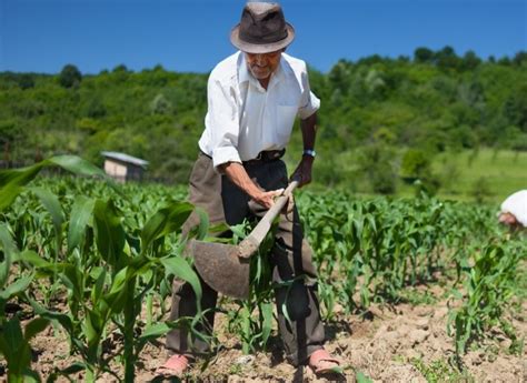 Agencias Del Sector Rural Trabajan De La Mano Para El Bienestar De Los Campesinos Peri Dico El