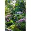 100  DIY Romantic Backyard Garden Ideas On A Budget Beautiful Gardens