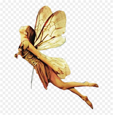 Flying Fairies Images