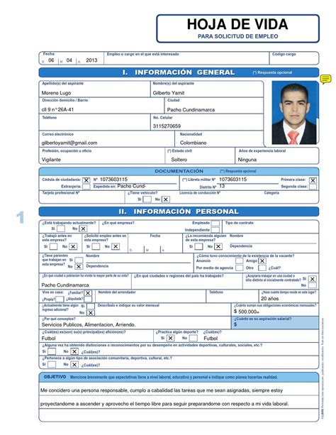 Descargar Formato Hoja De Vida En Word Consultancysky