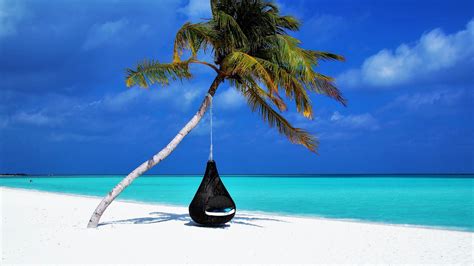 Malediven Palme Badestrand Entspannung Der Rest Das Meer Sand