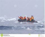 Zodiac Cruise Antarctica Images