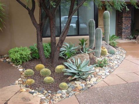 Backyard Landscapes Ideas For Arizona Mystical Designs And Tags