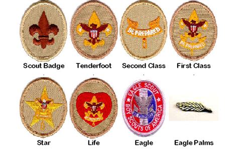 The Boy Scouts Of America First Class Scout Rank