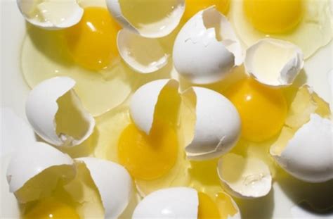 The Truth About Eggs Are Egg Whites Really Better