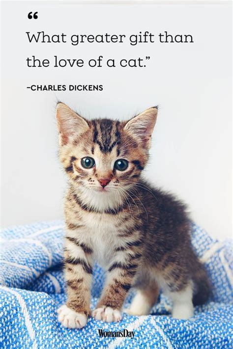 45 Adorable Cat Quotes That Will Melt Your Heart Kitten Quotes Cat