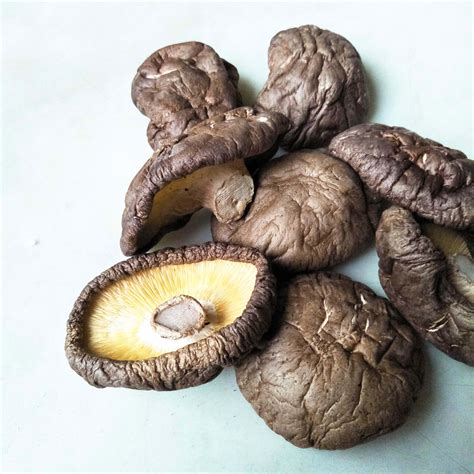 Whole Fresh Shiitake Mushroom Taiwan Supplier