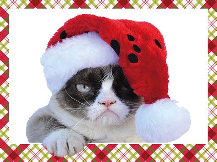 tard the grumpy cat | Grumpy cat christmas, Grumpy cat ...