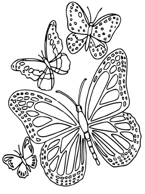 Disegni Di Farfalle Da Colorare