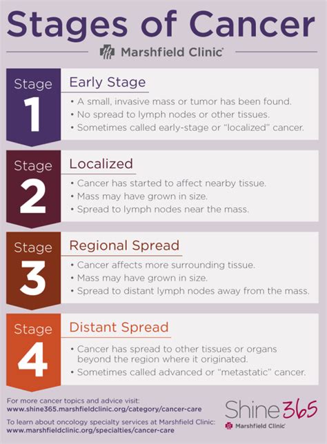 The stages of breast cancer are really the 'extent' of breast cancer. A guide: Cancer stages, terms and side effects | Shine365 ...