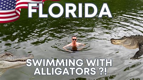 Swimming With Alligators And Exploring Deland Florida Youtube