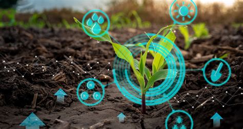 Using Data To Further Technological Advances In Agriculture