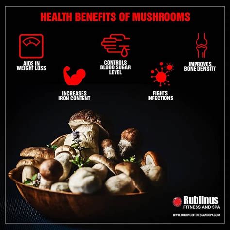 Discover The Powerful Health Benefits Of Mushrooms