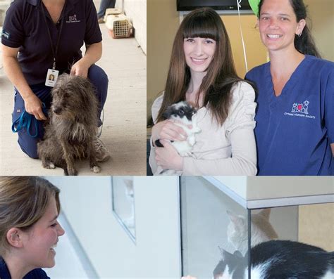 Ottawa Humane Society: Much more than an Adoption Centre!