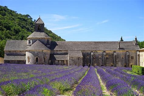 Full Day Provence Villages And Lavender Fields Tour From Avignon