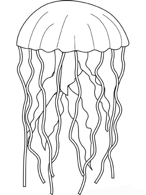 Shining star lyrics 3 months ago. Jelly Fish Sting Is Very Dangerous Coloring Page ...
