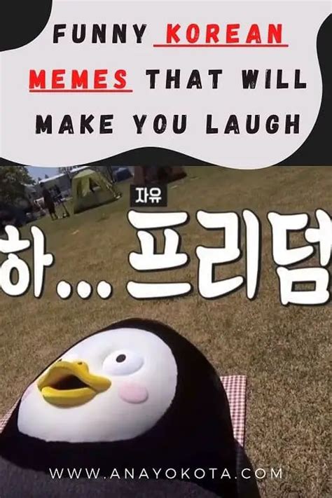 Funny Korean Memes That Will Make You Laugh Ana Yokota
