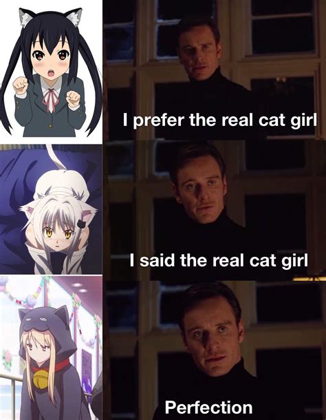 Cat Girls Are The Best R Animemes