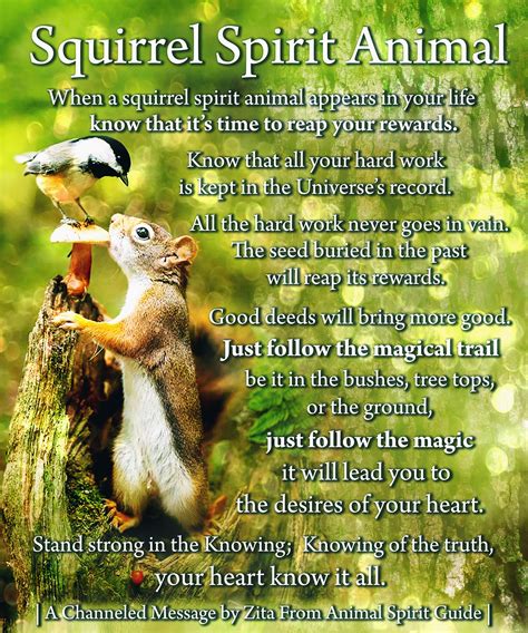 Squirrel Spirit Animal in 2020 | Animal spirit guides, Spirit animal, Animal totem spirit guides