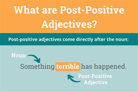 Adjectives An Easy Guide With Examples The Grammar Guide