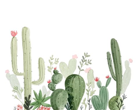 Jardin De Cactus Watercolor Painting Art Print 8x10 Print Cactus