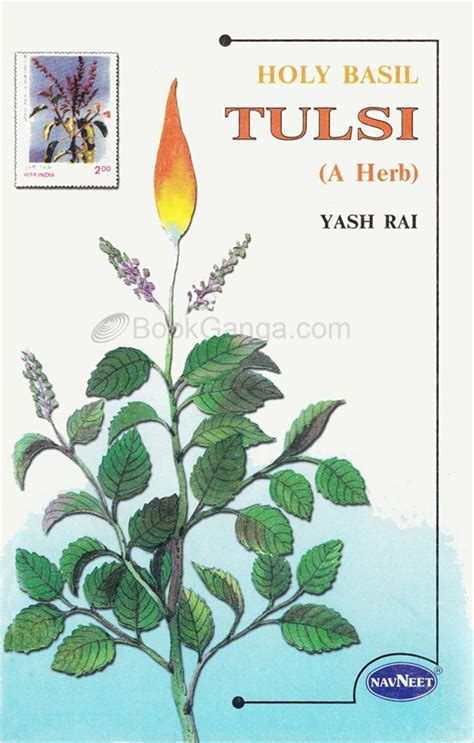 Holy Basil Tulsi By Yash Rai Navneet Education India Limited