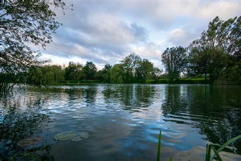 Faqs The Uks Favourite Carp Fishery Bluebell Lakes