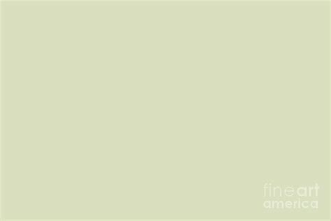 Light Pastel Celery Green Solid Color Pairs To Sherwin Williams
