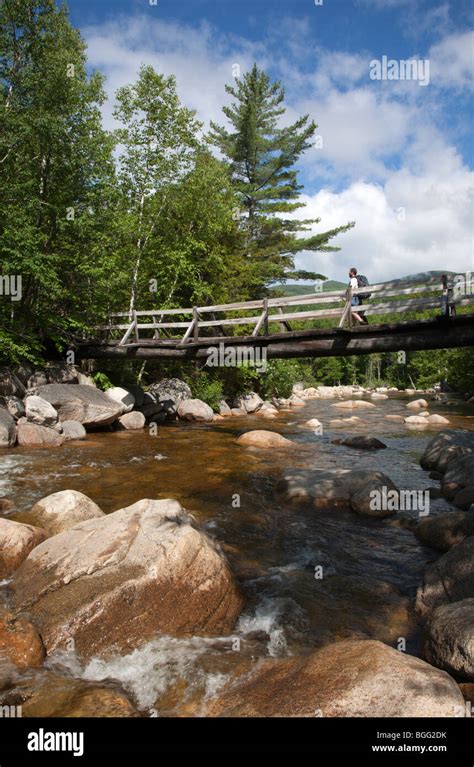 Pemigewasset Wilderness A Hiker On Foot Bridge Along The Thoreau