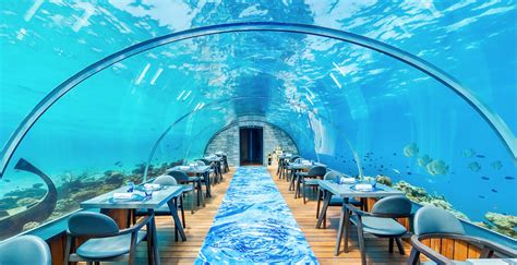 Kudadoo Maldives Private Island Ocean Blue World Global Luxury