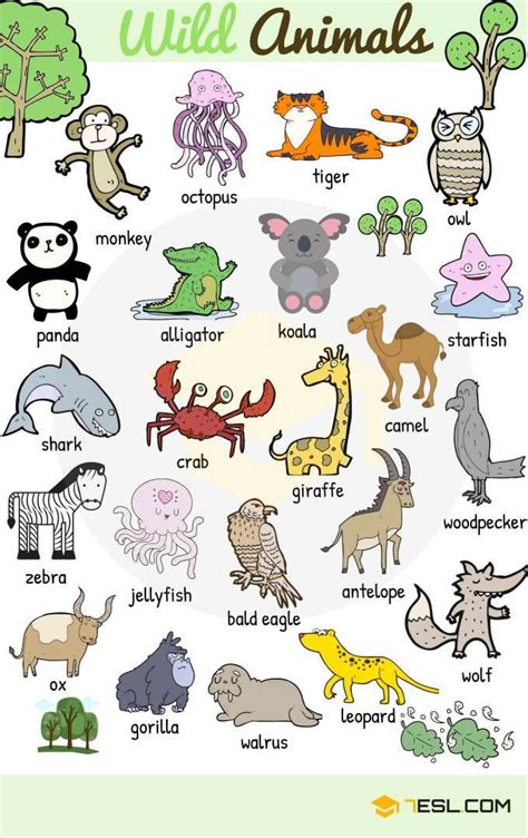 Learn 100 Animal Names In English Eslbuzz Learning English Animals