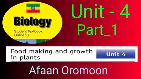 Ethiopian Grade 10 Biology Unit4 Part 1 Food Making And Growth In