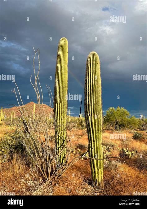 Rainbow In Arizona Hi Res Stock Photography And Images Alamy