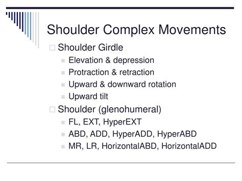 Ppt The Shoulder Complex Powerpoint Presentation Free Download Id