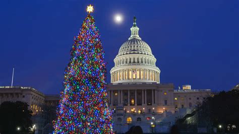 10 Most Beautiful And Iconic Christmas Trees In The World