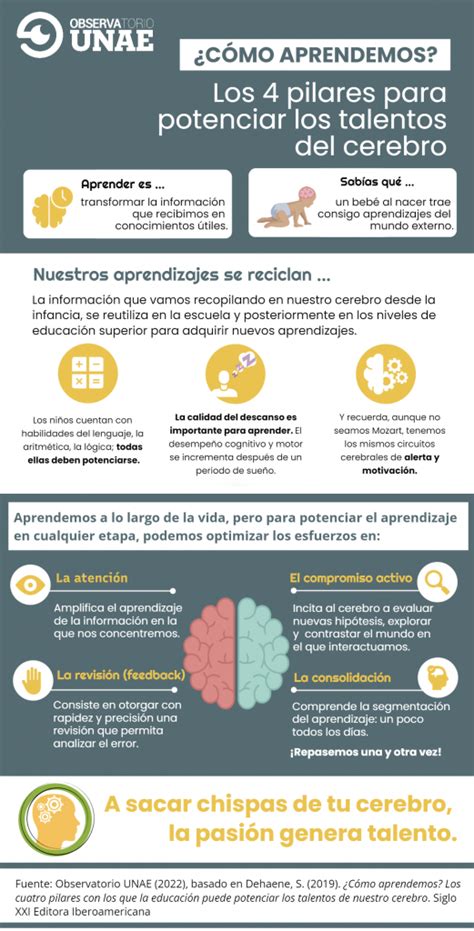 ¿cómo Aprende Nuestro Cerebro Unae