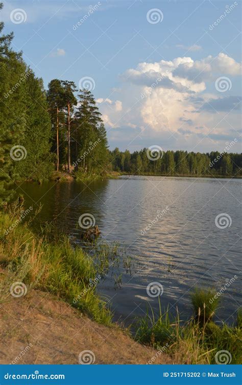 森林湖的岸边 库存照片 图片 包括有 叶子 早晨 横向 天空 云彩 绿色 地形 结构树 251715202