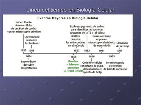 Resultado De Imagen Para Biologia Celular Linea Del Tiempo Boarding Pass