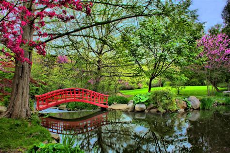 Japanese Garden At Cranbrook Red Bridge © Brian Cal