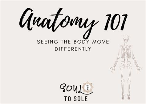 Anatomy 101 A Self Study Course