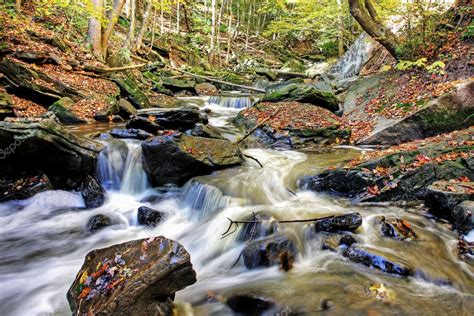 Small Forest River — Stock Photo © Cmeder 3370028