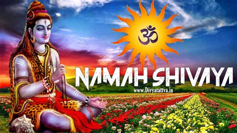 1080p Om Namah Shivaya Hd Images Eumolpo Wallpapers