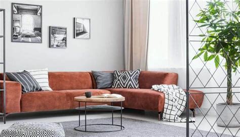 What Color Rug Goes Well With a Brown Sofa? [25 Options With Pictures]