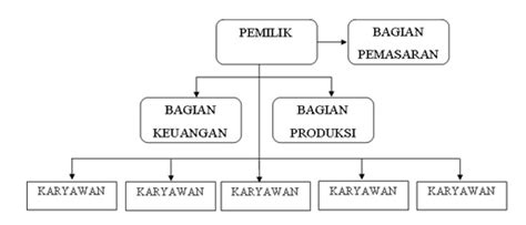Struktur Organisasi Perusahaan Distributor Makanan Berbagi Struktur