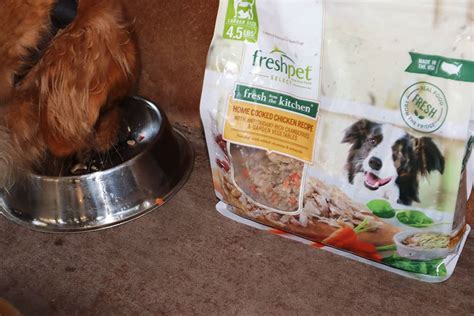 Freshpet is dedicated to bringing the power of fresh, real food to pets. Refrigerator Fresh, Healthy Food for My Pup - Cha Ching Queen