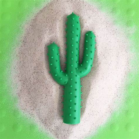 My dog destroyed her toy cactus, and there was another sad cactus inside. Waggo Silly Succulent Cactus Dog Toy *** Click on the ...